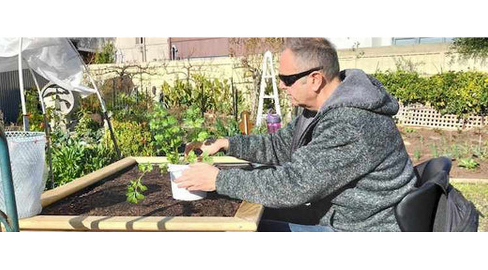 Wicking beds for disability access