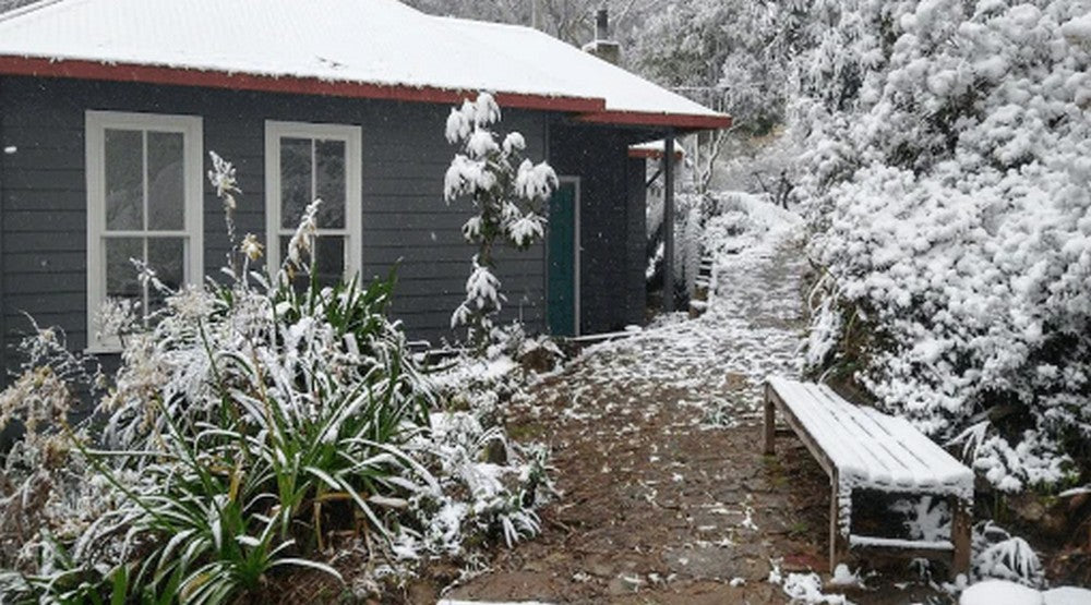 Wicking beds in winter