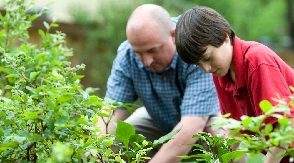 healing power of gardening for people of all ages