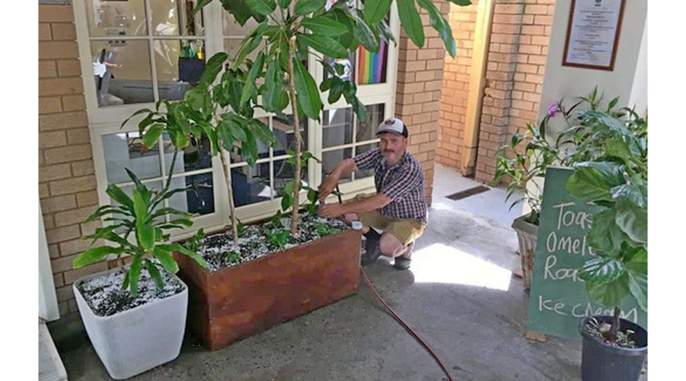 Update on his WaterUps® wicking beds from Jon Kingston