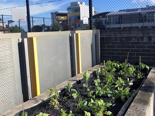 Sustainability 'Planting' Itself at St Luke's Grammar School