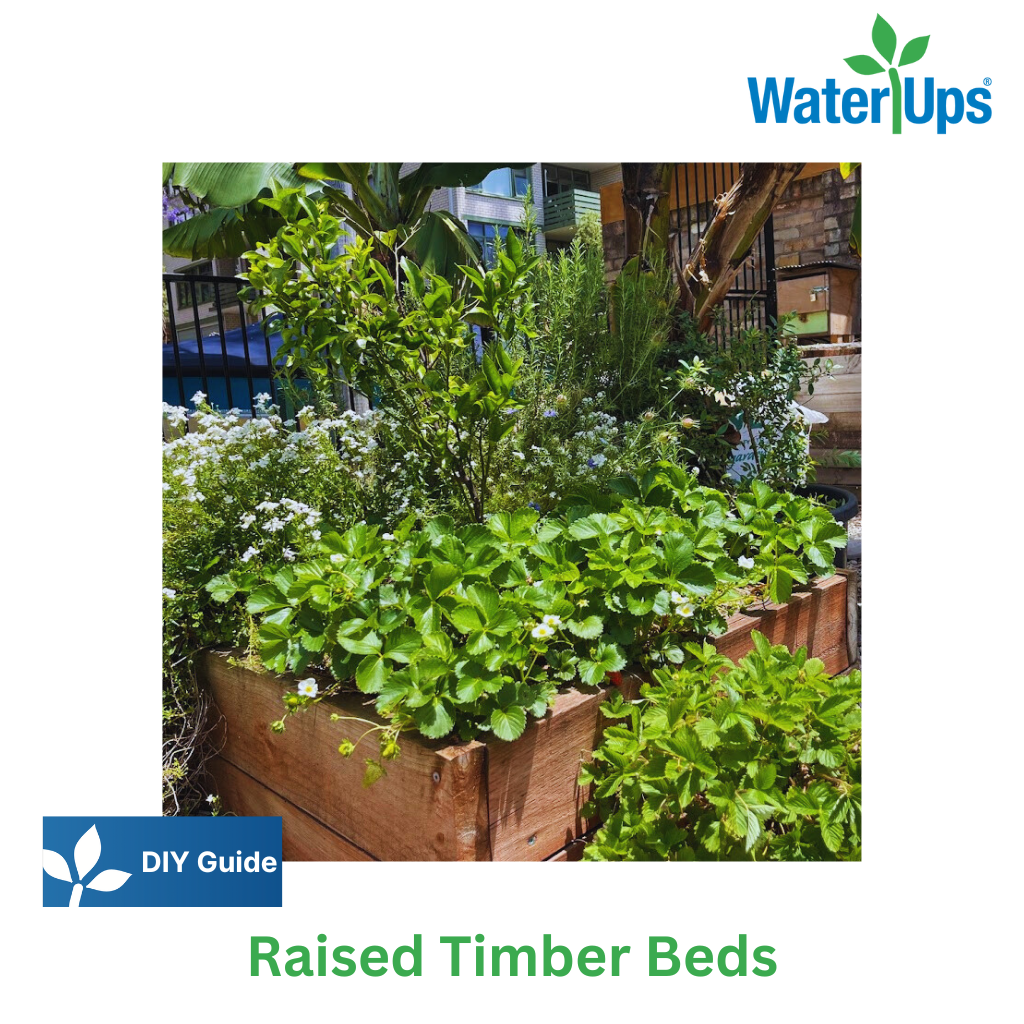 DIY Guide Timber Beds