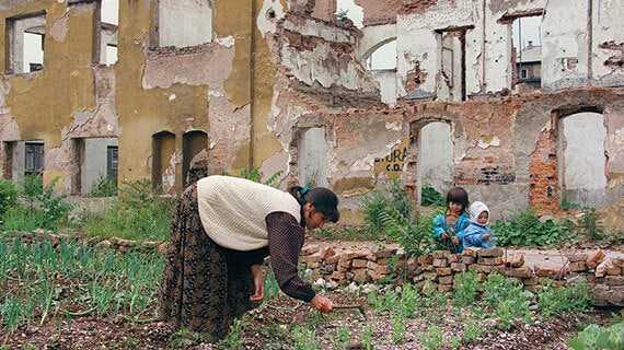 Food Security Refugees Keep Increasing