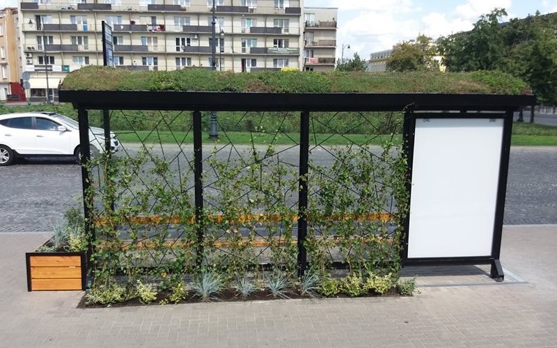 Green Bus Shelter Bialystok Poland