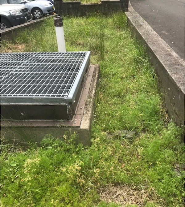 Kurangai Rain Gardens Weeds