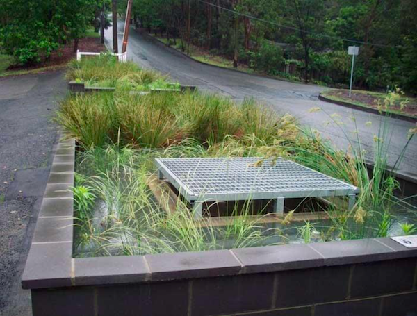 Kurangai - Rain Gardens Newly Planted