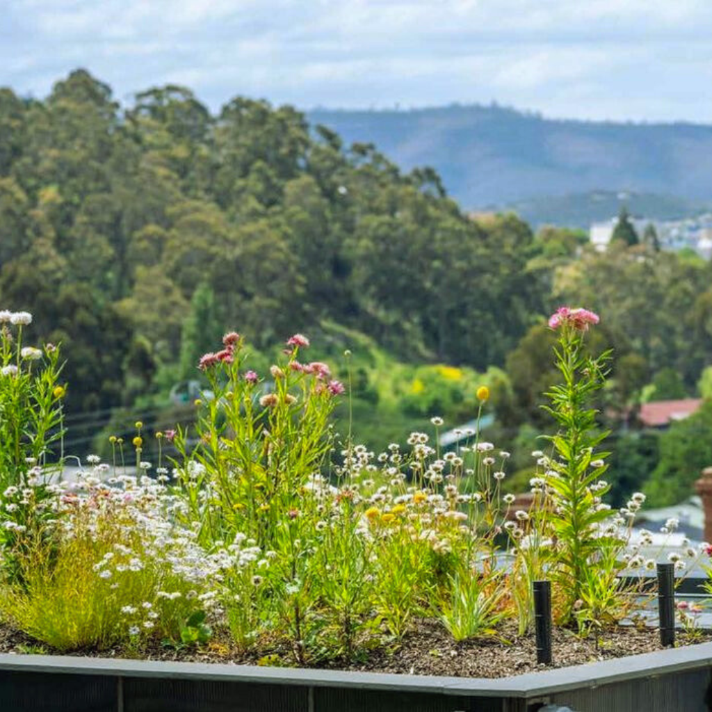 Property Developers-Rooftop Gardens improve liveability of buildings and cities while combating heat and flood issues