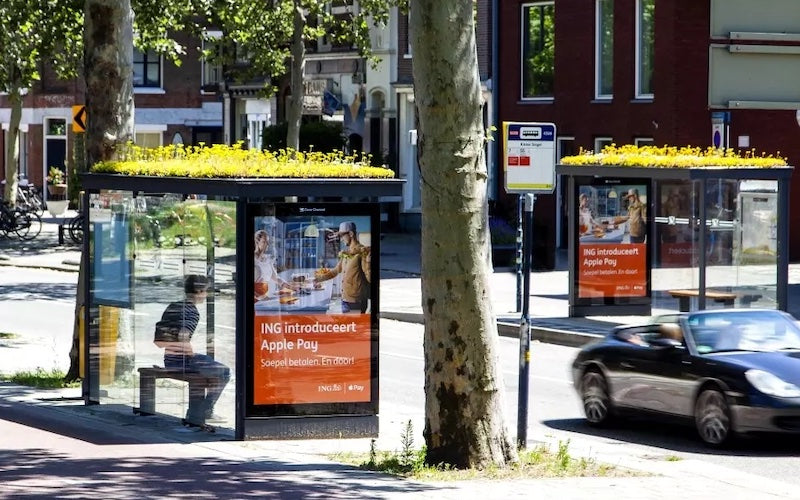 Utrect Netherlands Green Bush Shelter